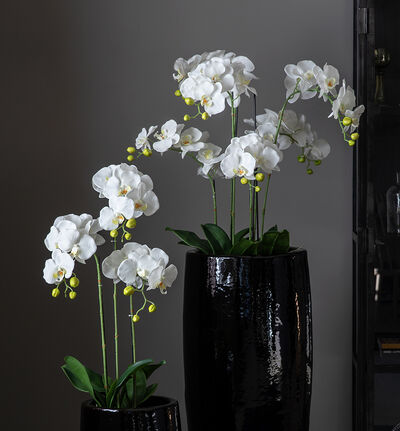 Kunstig hvit orkide XL Kunstig hvit orkide XL